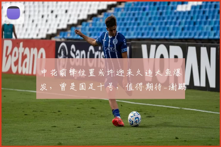 申花前锋位置或许迎来久违大鱼爆发，曾是国足十号，值得期待_谢鹏飞_申花队_斯卢茨基