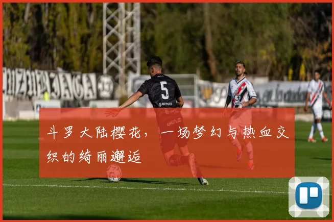 斗罗大陆樱花，一场梦幻与热血交织的绮丽邂逅