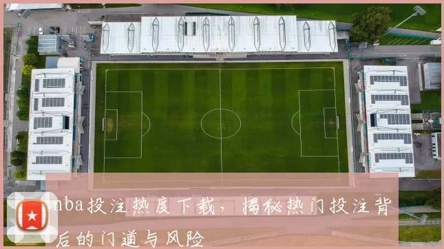 nba投注热度下载，揭秘热门投注背后的门道与风险