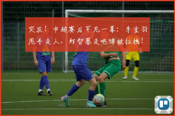 突发！中超赛后罕见一幕：李金羽甩手走人，郑智暴走咆哮被拉拽！