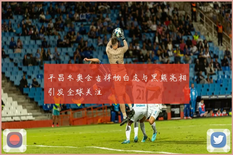 平昌冬奥会吉祥物白虎与黑熊亮相引发全球关注