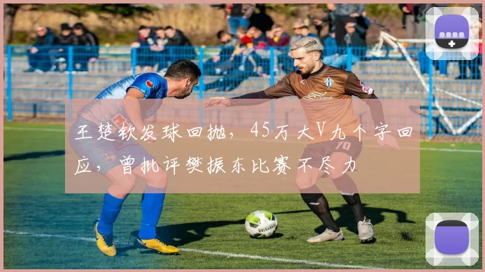 王楚钦发球回抛,45万大V九个字回应,曾批评樊振东比赛不尽力