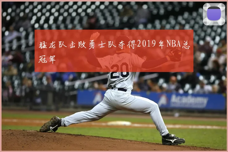 猛龙队击败勇士队夺得2019年NBA总冠军