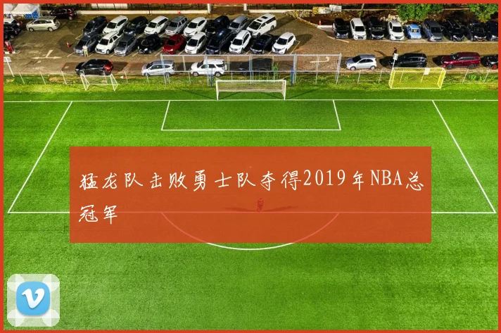 猛龙队击败勇士队夺得2019年NBA总冠军