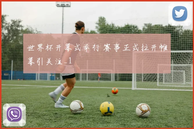 世界杯开幕式举行 赛事正式拉开帷幕引关注_1