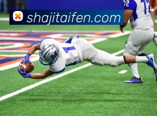 leyu乐鱼在线直播全站App leyu乐鱼在线直播全站App